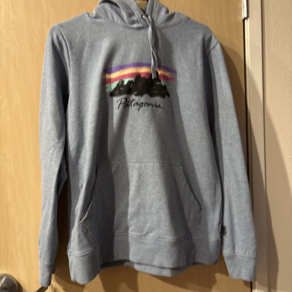 Patagonia Free Hand Fitz Roy Ahnya Hoodie Womens Large Blue Pullover